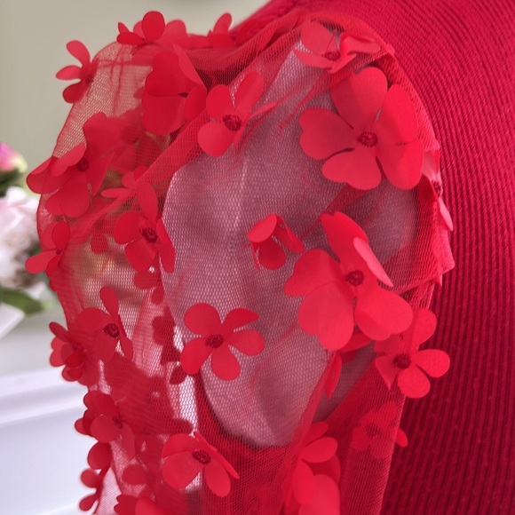 NO BOUNDARIES Red Ribbed Puffy Floral Sheer Sleeve Cable knit Sweater Dress NWOT - Picture 2 of 13